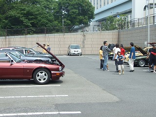 ワインレッド ジャガー XJS オープン